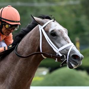 Ted Noffey Ted Noffey